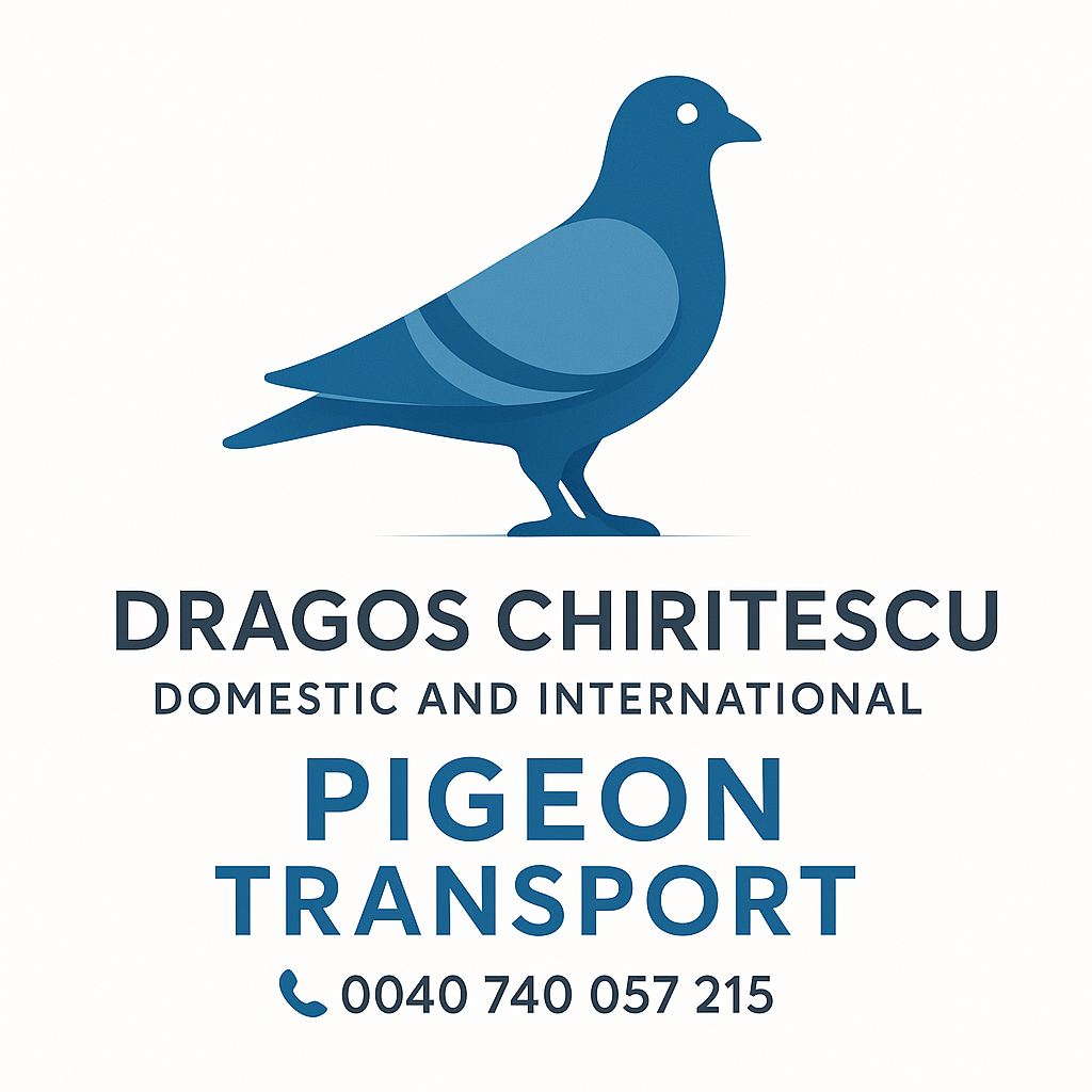 Dragos TRANSPORT
